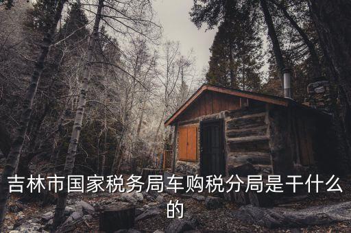 車(chē)購(gòu)稅局主要干什么，新車(chē)去地稅局干什么