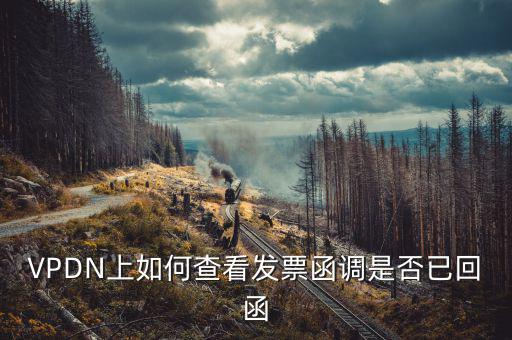 發(fā)票為什么會被復函，VPDN上如何查看發(fā)票函調(diào)是否已回函