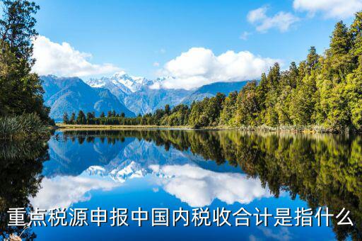 重點稅源填了有什么用，我的電腦重裝后重點稅源以前數(shù)據(jù)怎么查詢