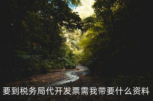 去稅務(wù)局開票需要帶什么資料，去稅務(wù)局開票的話需要帶什么材料呢