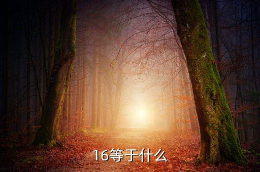 什么深圳1 6政策指，16等于什么