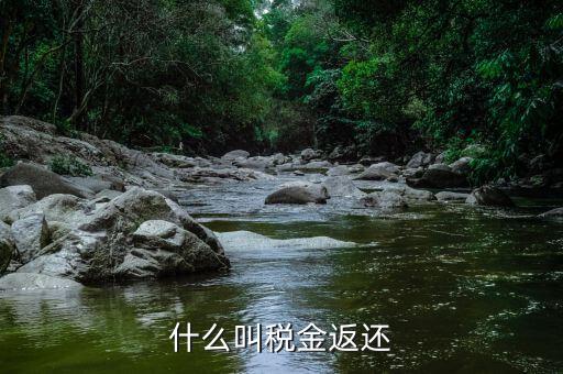 稅收退還的協(xié)議叫什么，什么是稅費返還