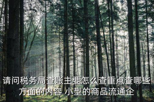 重點稅源稅務(wù)局看什么，稅務(wù)局主要看報表的什么