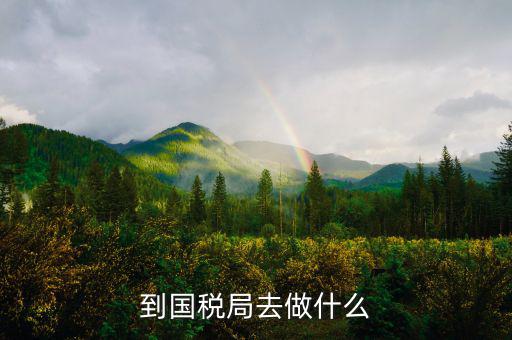 國稅局什么工作，國稅是做什么工作的