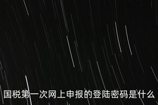 國稅的登錄密碼是什么，國稅第一次網(wǎng)上申報(bào)的登陸密碼是什么