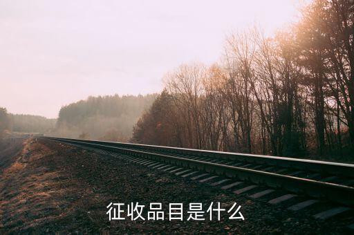 所得稅品目名稱是什么，請問個(gè)人所得稅的全稱是什么謝謝