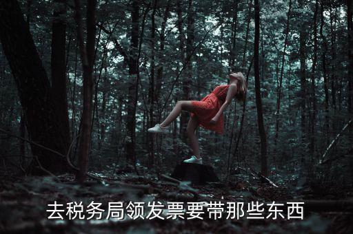 國(guó)稅領(lǐng)取發(fā)票需要帶什么，去國(guó)稅局領(lǐng)發(fā)票要帶什么