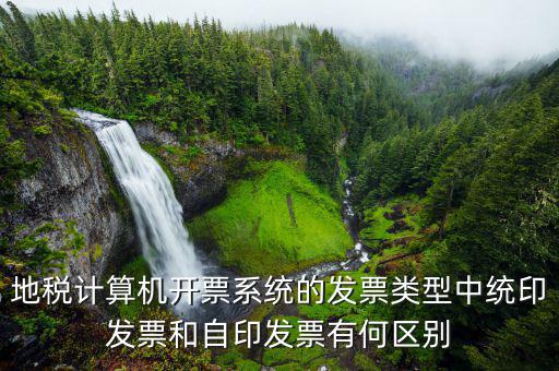地稅計(jì)算機(jī)開(kāi)票系統(tǒng)的發(fā)票類(lèi)型中統(tǒng)印發(fā)票和自印發(fā)票有何區(qū)別