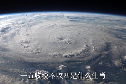 什么生肖要打稅，稅意新榮打一生肖