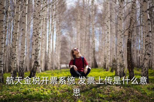 航天金稅是什么，航天金稅接口是什么意思呢