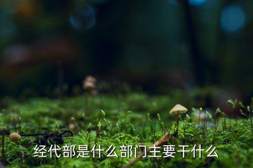 經代部是什么部門主要干什么