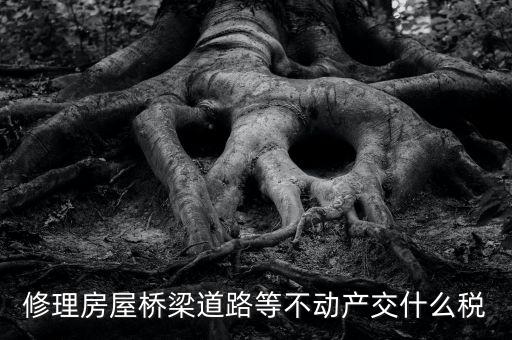 修理房屋橋梁道路等不動產交什么稅