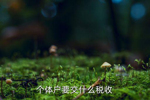個體商戶納什么稅，個體戶要交什么稅收