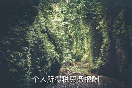 個(gè)稅什么情況勞務(wù)報(bào)酬，有關(guān)個(gè)稅勞務(wù)報(bào)酬