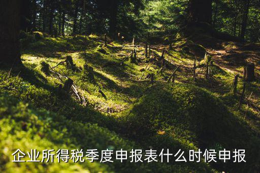 季度稅是在什么時候報，年度季度企業(yè)所得稅申報時間
