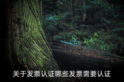 發(fā)票通過什么認(rèn)證嗎，關(guān)于發(fā)票認(rèn)證哪些發(fā)票需要認(rèn)證