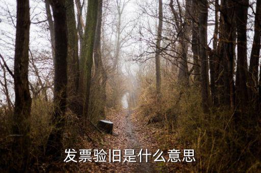 稅務(wù)驗(yàn)舊是什么意思，發(fā)票驗(yàn)證時(shí)提示舊系統(tǒng)已驗(yàn)舊是什么意思