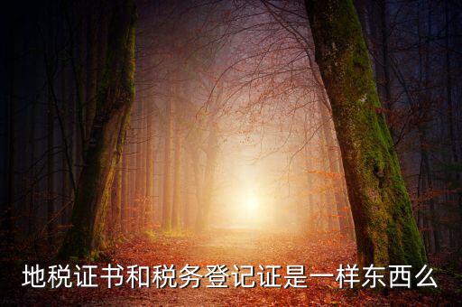 地稅登記證是什么，地方稅納稅資料封面上稅務(wù)登記證號是甚么