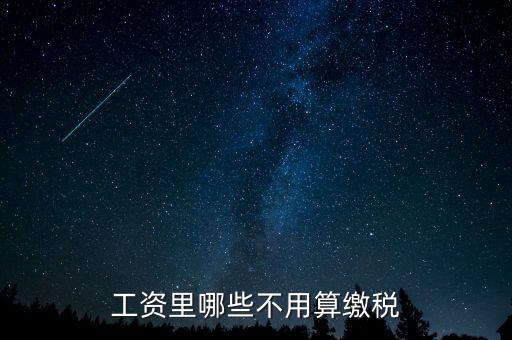 什么所得不用上稅，哪些類型的工資薪金所得不用納稅