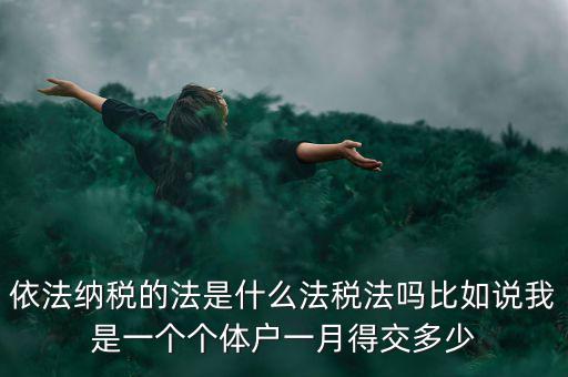 什么是依法納稅人，依法納稅的法是什么法稅法嗎比如說我是一個(gè)個(gè)體戶一月得交多少