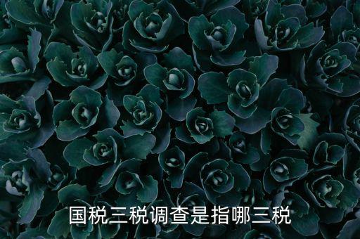 全國稅收調(diào)查是什么，全國稅收調(diào)查表中審核公式IFXXBB8 1 XXBB8 4