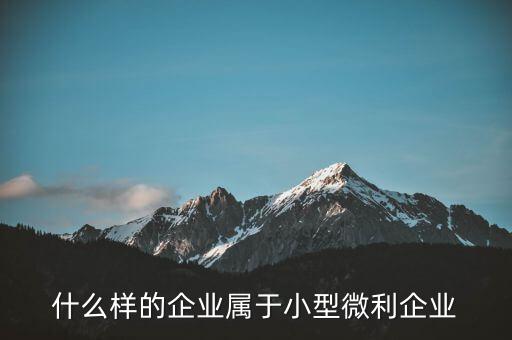 什么企業(yè)算小微企業(yè)，由什么部門來核準(zhǔn)企業(yè)屬于小微企業(yè)