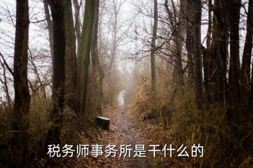 稅務(wù)師事務(wù)所 外勤是做什么的，稅務(wù)師事務(wù)所是干什么的