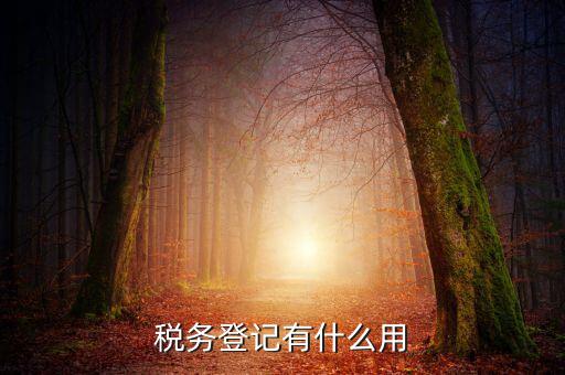 有稅務(wù)登記有什么好，稅務(wù)登記有什么用