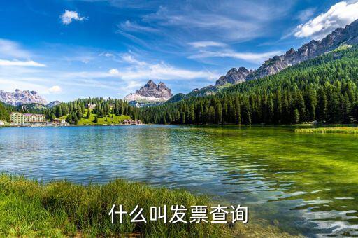 發(fā)票查驗(yàn)單是什么意思，簡(jiǎn)述什么是發(fā)票檢查