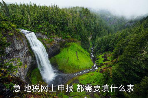 稅務申報表用什么填置，怎么填寫稅務申請表