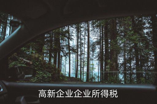 什么高新企業(yè)所得稅，高新企業(yè)企業(yè)所得稅