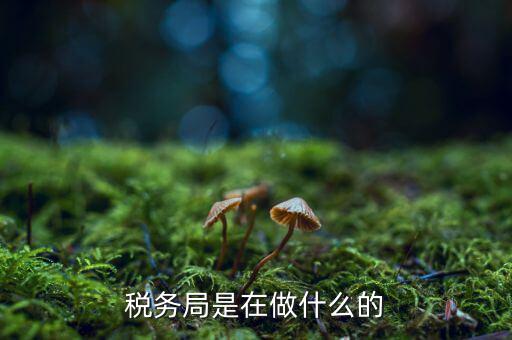 稅務(wù)總局是做什么的，稅務(wù)局是在做什么的