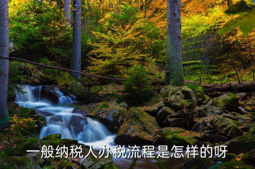 什么是正常辦稅，一般納稅人辦稅流程是怎樣的呀