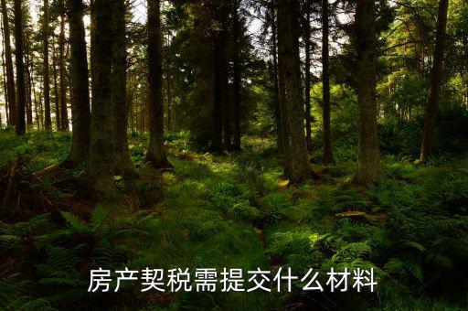 商品房交契稅需要什么材料，買房契稅何時交需要提供哪些材料