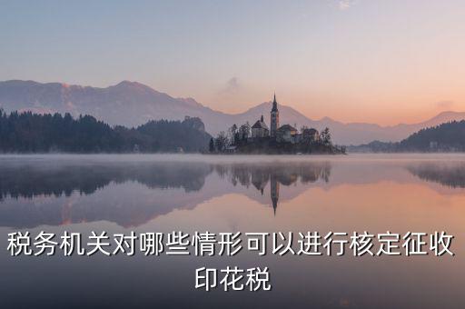 核定印花稅是什么意思，關(guān)于印花稅的核定比例
