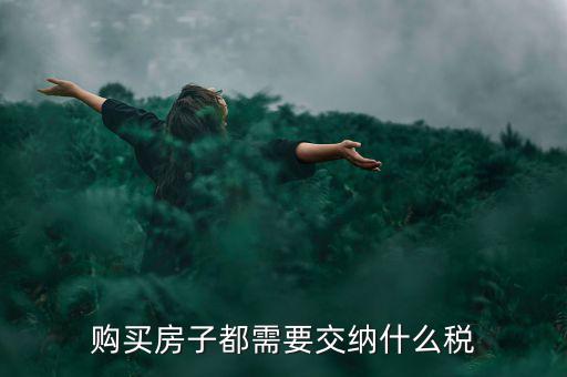 什么稅務(wù)，普通老百姓都交什么稅