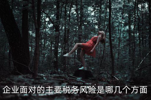 企業(yè)面對的主要稅務風險是哪幾個方面