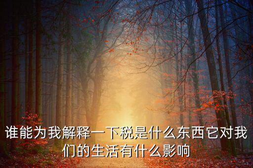 誰(shuí)能為我解釋一下稅是什么東西它對(duì)我們的生活有什么影響