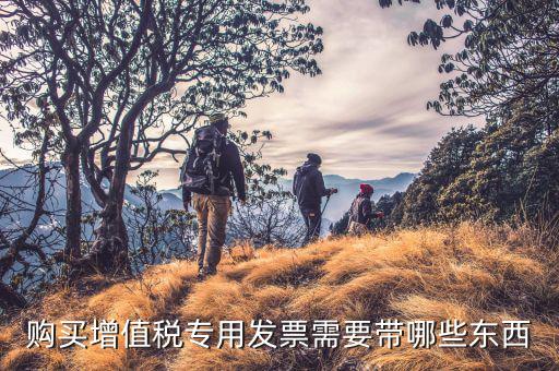 稅票專票要帶什么，問(wèn)題去稅務(wù)局購(gòu)買增值稅專用發(fā)票需帶哪些東西