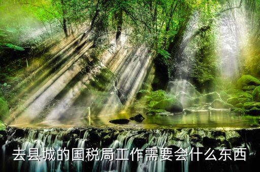 國家稅務(wù)局都要會什么，稅務(wù)局工作需要點(diǎn)什么