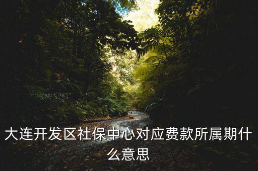 社保所屬期是什么意思，大連開發(fā)區(qū)社保中心對應(yīng)費(fèi)款所屬期什么意思