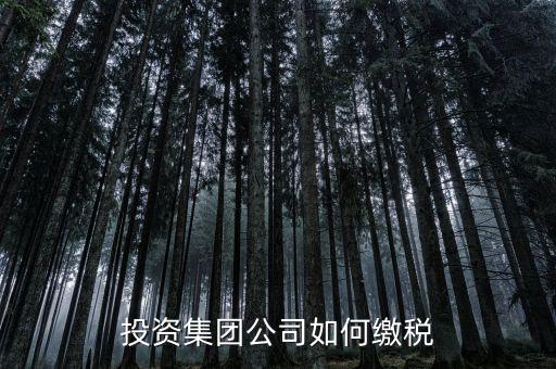 投資公司交什么稅2017，投資集團(tuán)公司如何繳稅