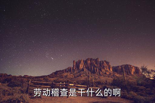 稽查是什么工作，勞動稽查是干什么的啊