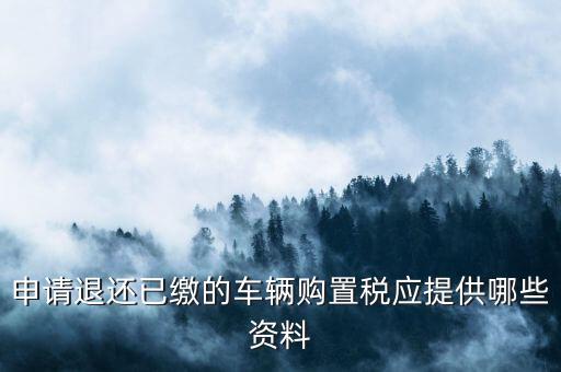車輛退稅需要什么，現(xiàn)在購(gòu)車要退什么稅