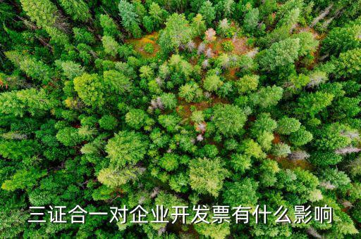 稅務三合一有什么好處，三合一后舊發(fā)票章能用嗎