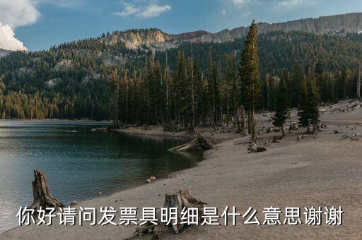 什么是個稅明細，個稅是什么是干嘛的詳細點哈
