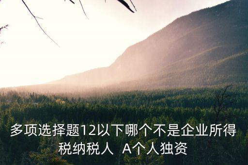 什么納稅人，多項選擇題12以下哪個不是企業(yè)所得稅納稅人  A個人獨資