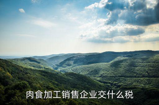 賣肉類交什么地稅，批發(fā)肉類的稅是多少