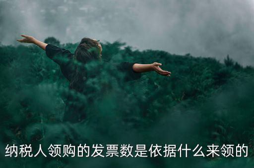 為什么領(lǐng)票人是納稅人，發(fā)票領(lǐng)購簿上的章子與納稅人名稱不一樣是怎么回事