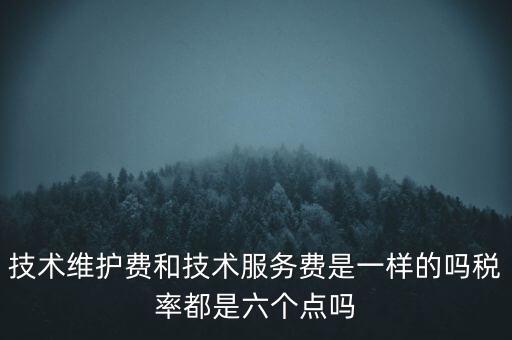 技術(shù)維戶費(fèi)交什么稅，維修費(fèi)交什么稅